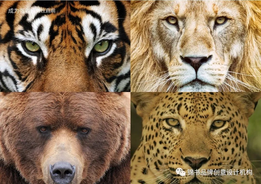 微信图片_20240207142527.jpg 微信图片_20240207142527.jpg